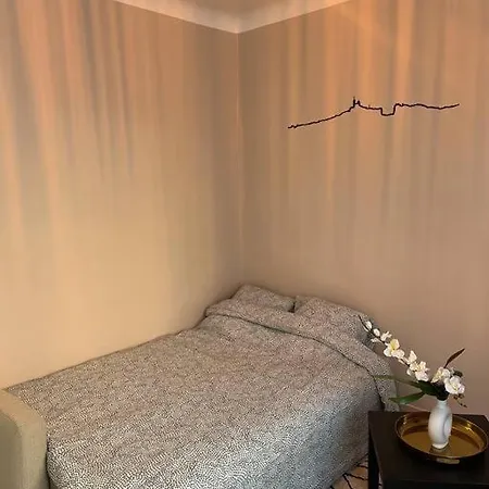 T1 Climatise En Centre / Paradis Appartement *