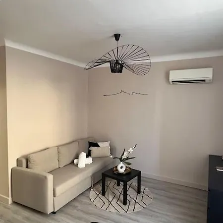 T1 Climatise En Centre / Paradis Apartment *