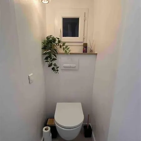 T1 Climatise En Centre / Paradis Apartment *